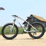 Love Freedom 7/21/24/27 Speed Mountain Bike 26 * 4.0 Fat Tire Bikes Shock Absorbers Bicycle Free Delivery Snow Bike