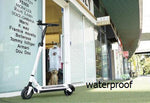 RUIMA mini4 48V 15.6A  BLDC HUB strong power electric scooter Speedway mini IV powerful scooter add waterproof version